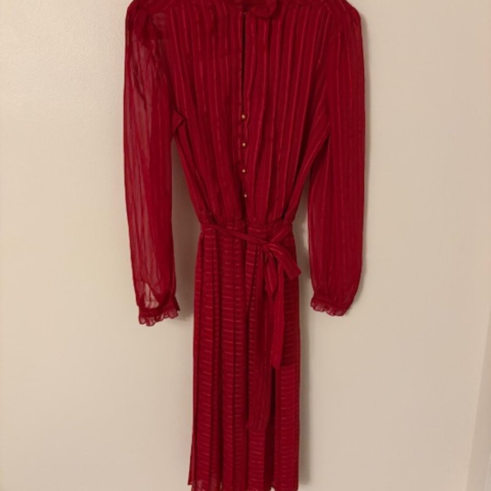 Ruby red sheer accordion pleated, classy dress